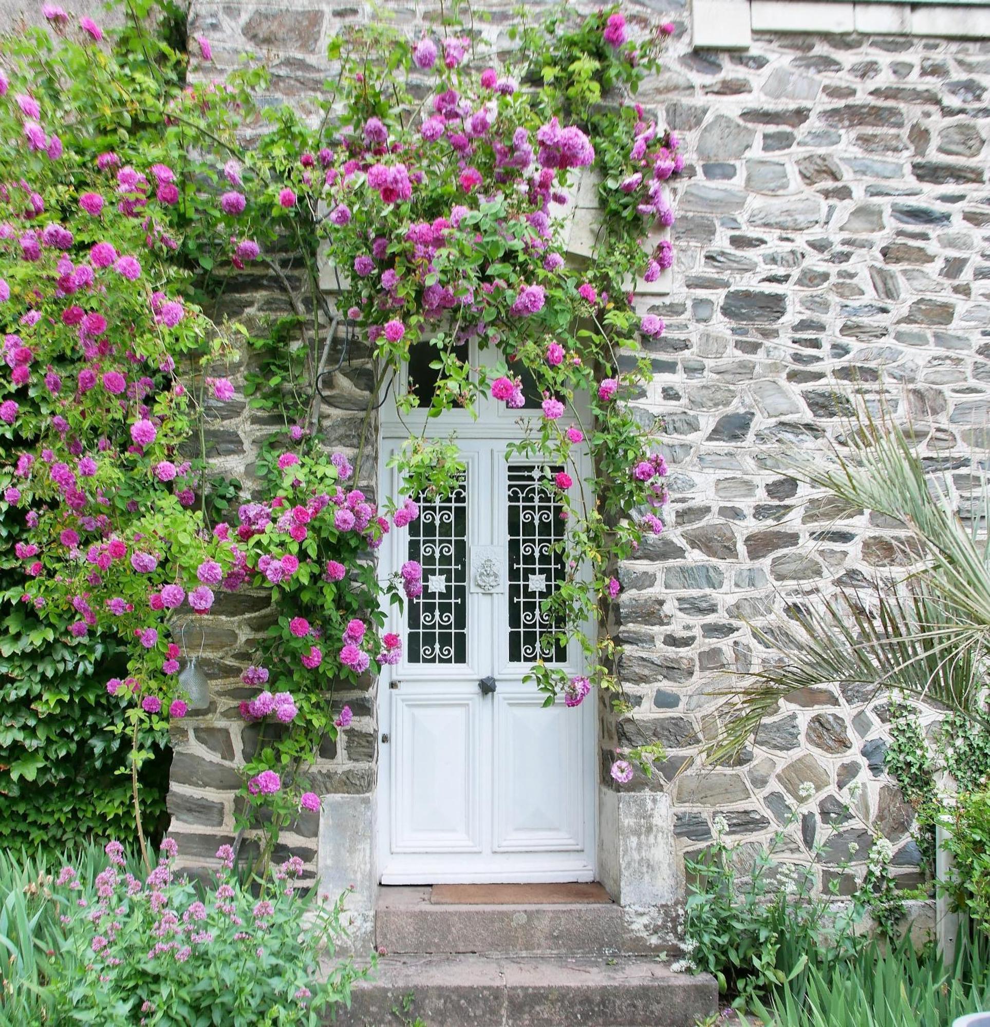Maison D'Hotes La Bien-Aimee Montrevault Exteriér fotografie